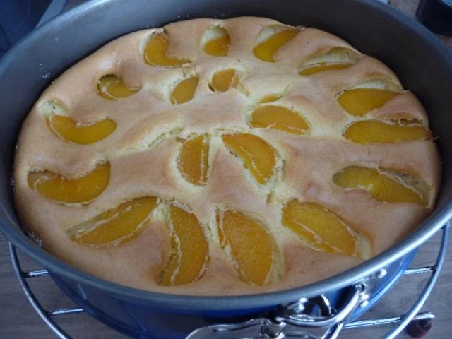 Rezept: 500. Rezept Tööörrrröööhhh Bild Nr. 11 500. Rezept Tööörrrröööhhh - Rezept - Bild Nr. 11