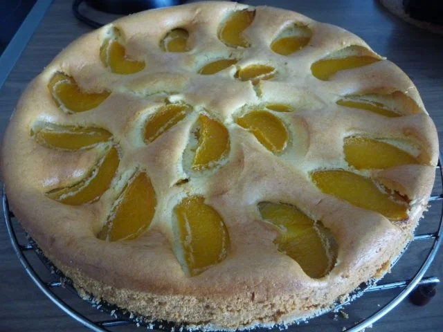 Rezept: 500. Rezept Tööörrrröööhhh 500. Rezept Tööörrrröööhhh - Rezept