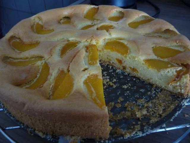 Rezept: 500. Rezept Tööörrrröööhhh Bild Nr. 12 500. Rezept Tööörrrröööhhh - Rezept - Bild Nr. 12