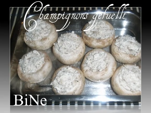 Rezept: BiNe` S RIESENCHAMPIGNONS Bild Nr. 7 BiNe` S RIESENCHAMPIGNONS - Rezept - Bild Nr. 7