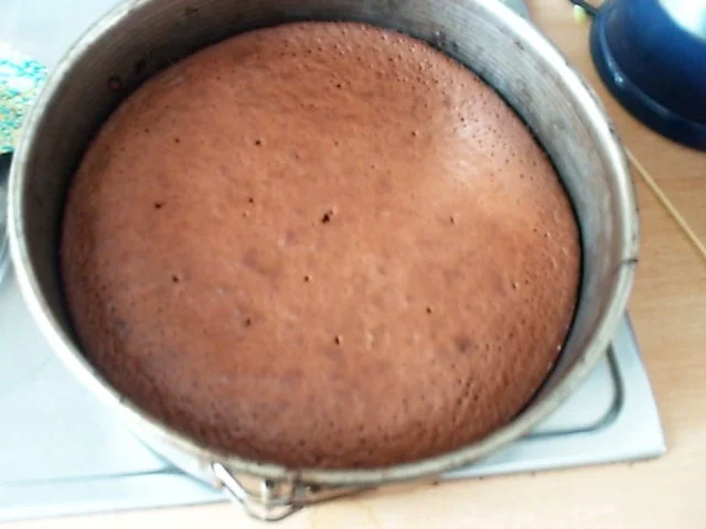 Rezept: Torte: Moostorte Bild Nr. 9 Torte: Moostorte - Rezept - Bild Nr. 9