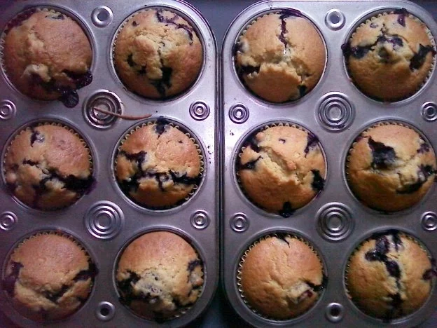 Blaubeer-Muffin - Rezept - Bild Nr. 3