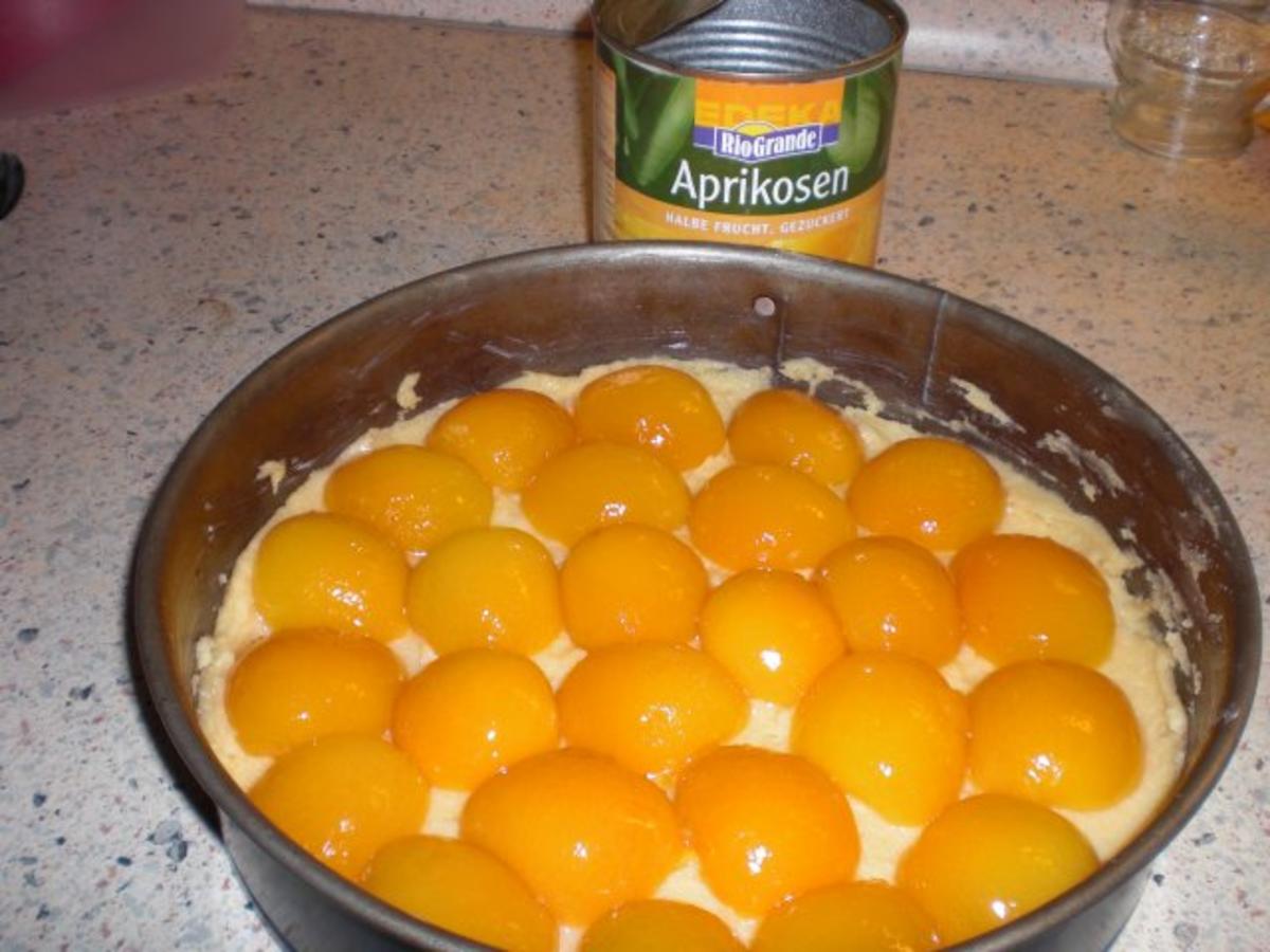 Aprikosen-Käsesahne-Kuchen - Rezept