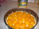 Aprikosen-Käsesahne-Kuchen - Rezept