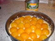 Aprikosen-Käsesahne-Kuchen - Rezept