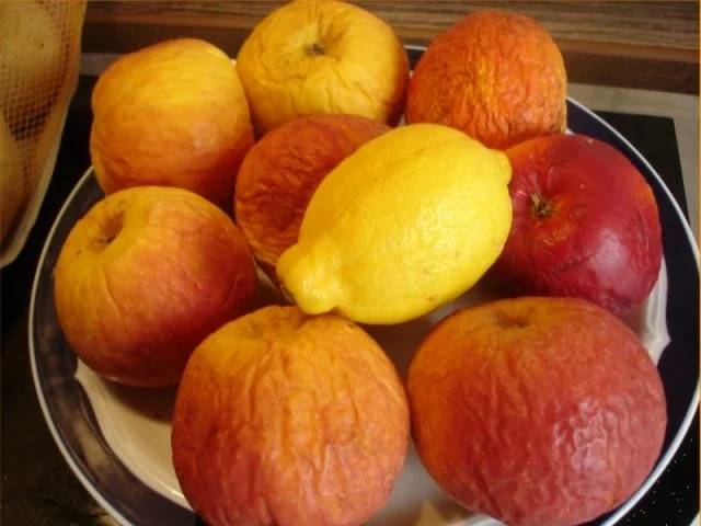 Rezept: Selbstgemachter Kartoffelpuffer und selbstgemachtes Apfelmus Bild Nr. 2 Selbstgemachter Kartoffelpuffer und selbstgemachtes Apfelmus - Rezept - Bild Nr. 2