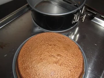 Gebackene Eistorte - Rezept - Bild Nr. 8