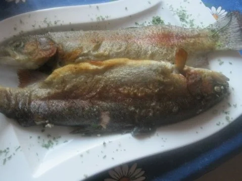 Rezept: Leckere, Köstliche Holsteinische Twins Leckere, Köstliche Holsteinische Twins - Rezept