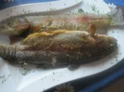 Rezept: Leckere, Kรถstliche Holsteinische Twins Leckere, Kรถstliche Holsteinische Twins - Rezept