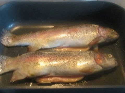 Rezept: Leckere, Köstliche Holsteinische Twins Bild Nr. 5 Leckere, Köstliche Holsteinische Twins - Rezept - Bild Nr. 5