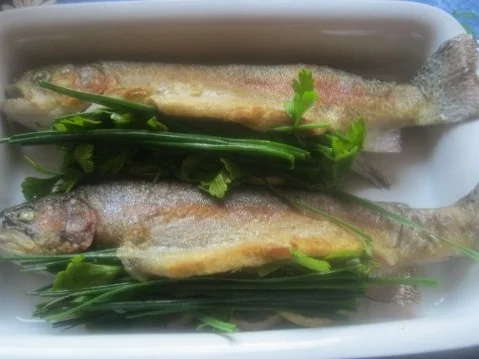 Rezept: Leckere, Köstliche Holsteinische Twins Bild Nr. 6 Leckere, Köstliche Holsteinische Twins - Rezept - Bild Nr. 6