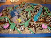 Dschungel Kuchen - Rezept