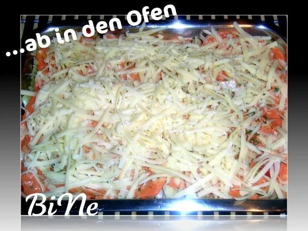 Rezept: BiNe` S KARTOFFEL - HACK - AUFLAUF Bild Nr. 12 BiNe` S KARTOFFEL - HACK - AUFLAUF - Rezept - Bild Nr. 12