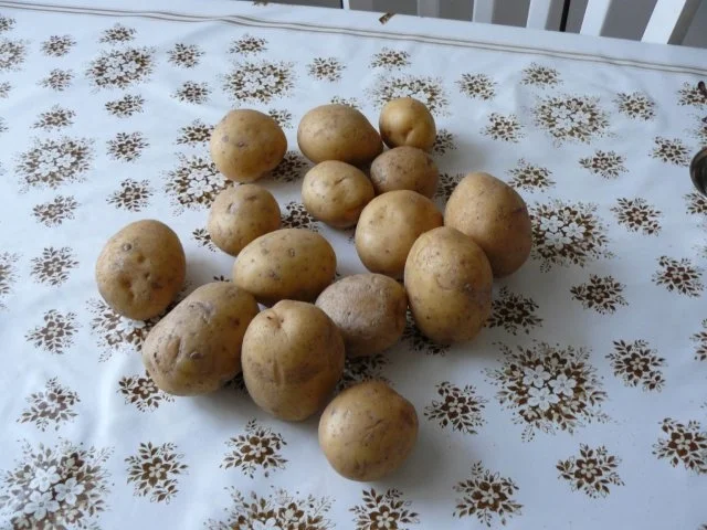 Rezept: knusprige Kartoffelpuffer Bild Nr. 2 knusprige Kartoffelpuffer - Rezept - Bild Nr. 2