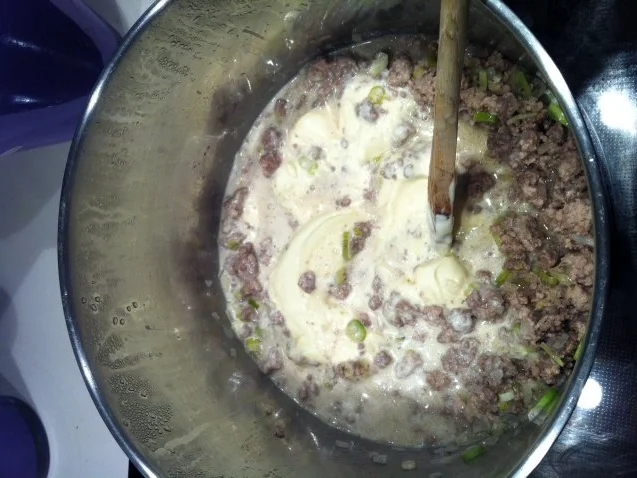 Käsesuppe mit Hackfleisch, Porree und Weißwein - Rezept - Bild Nr. 3