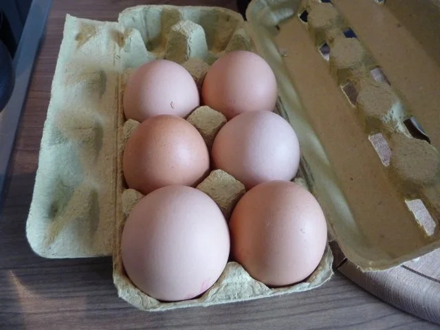 Eiergerichte : Rührei mit Salzkartoffeln und Rahmspinat - Rezept - Bild Nr. 6