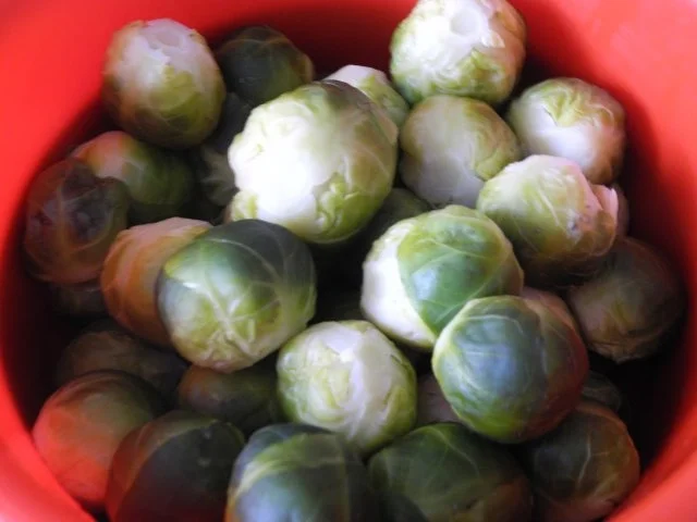 Rezept: Rosenkohlpfanne Bild Nr. 3 Rosenkohlpfanne - Rezept - Bild Nr. 3