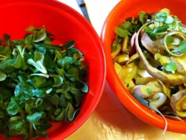 Rezept: Ente einfach Bild Nr. 6 Ente einfach - Rezept - Bild Nr. 6