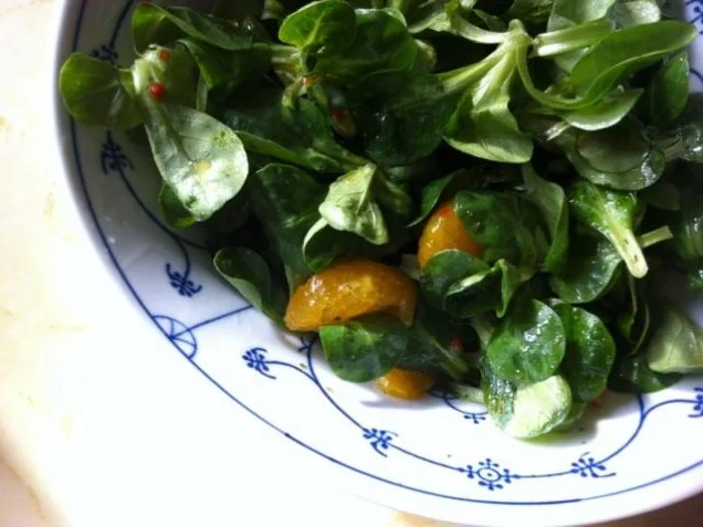 Rezept: Ente einfach Bild Nr. 14 Ente einfach - Rezept - Bild Nr. 14