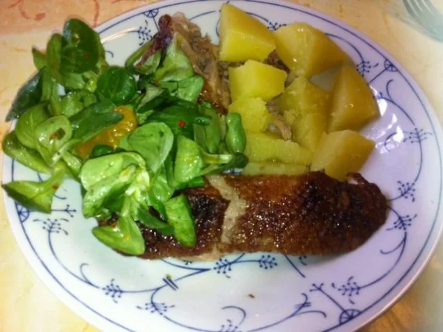 Rezept: Ente einfach Bild Nr. 15 Ente einfach - Rezept - Bild Nr. 15