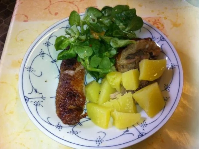 Rezept: Ente einfach Ente einfach - Rezept