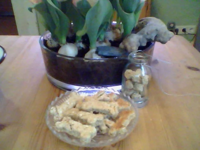 Rezept: Sunnies Hundekekse Sunnies Hundekekse - Rezept