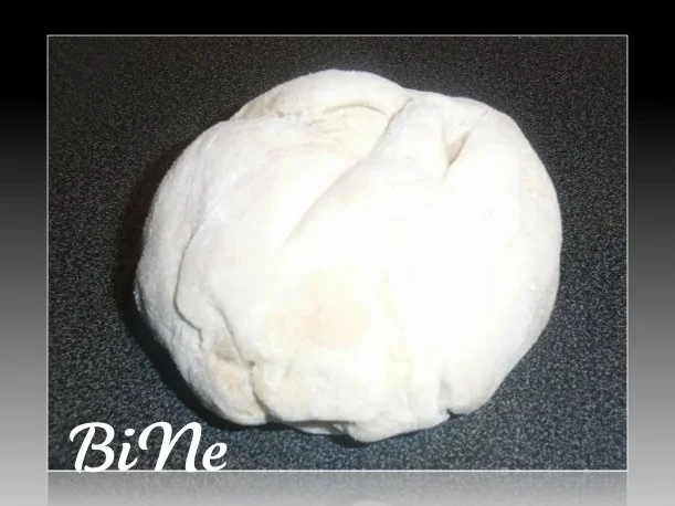 Rezept: BiNe` S LACHSSTRUDEL Bild Nr. 3 BiNe` S LACHSSTRUDEL - Rezept - Bild Nr. 3