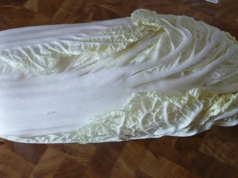 Chinakohl-Salat - Rezept - Bild Nr. 2