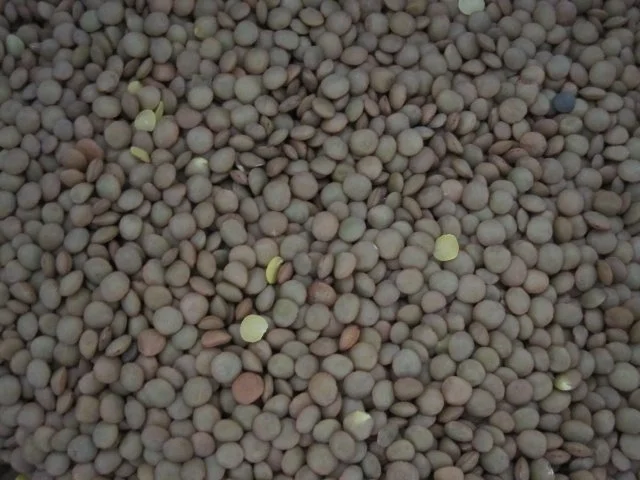 Rezept: Vegane Linsensuppe Bild Nr. 2 Vegane Linsensuppe - Rezept - Bild Nr. 2