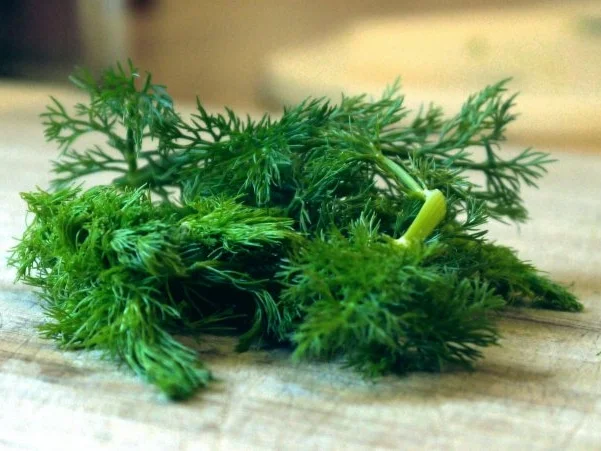 Rezept: Fenchelkuchen Bild Nr. 3 Fenchelkuchen - Rezept - Bild Nr. 3