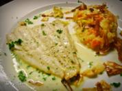 Fisch: Zitroniges Schollenfilet an Petersilien- Zitronen Sauce - Rezept