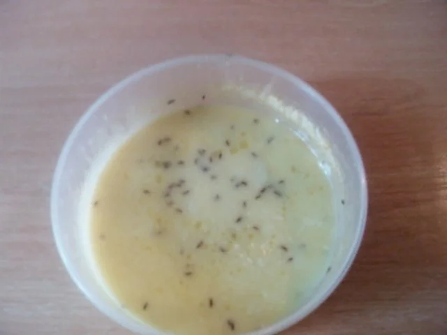 Rezept: Kochkäse aus der Mikrowelle Kochkäse aus der Mikrowelle - Rezept