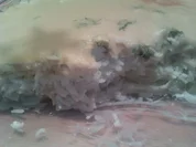 Rezept: Fenchel-Reis-Auflauf mit Hefeschmelz Fenchel-Reis-Auflauf mit Hefeschmelz - Rezept