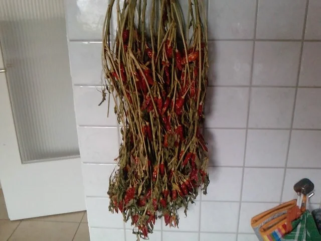 Olio Diavolo Due die getrocknete Variante - Rezept - Bild Nr. 2