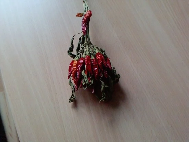 Olio Diavolo Due die getrocknete Variante - Rezept - Bild Nr. 3