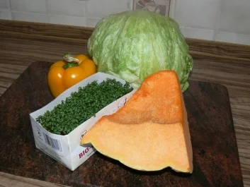 Eisbergsalat mit Kürbis und Paprika - Rezept