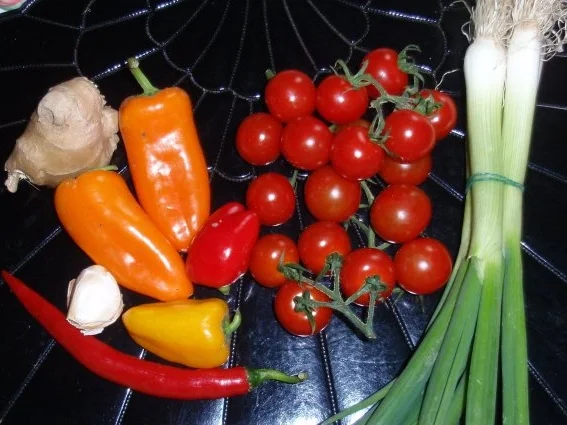 Asiatischer Tomaten-Paprikasalat - Rezept - Bild Nr. 2