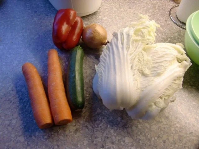 Hähnchenbrust mit Chinakohlgemüse - Rezept - Bild Nr. 2