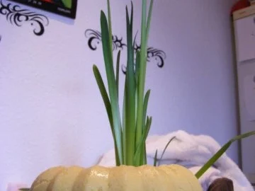 Maispolenta-Pudding mit Apfelmark - Rezept - Bild Nr. 2