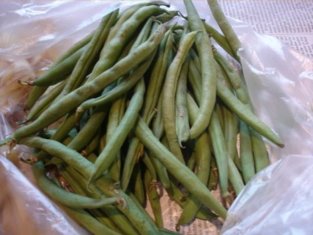Matjesfilet mit Speckbohnen und Kartoffelpilzen - Rezept - Bild Nr. 3