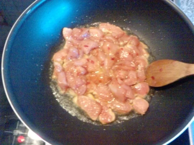 Rezept: Verkohlte chinesische scharfe Pute Bild Nr. 4 Verkohlte chinesische scharfe Pute - Rezept - Bild Nr. 4