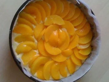 Rezept: Leo´s Frau Pfirsichkuchen Bild Nr. 3 Leo´s Frau Pfirsichkuchen - Rezept - Bild Nr. 3