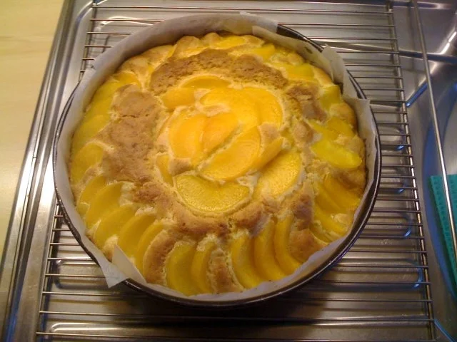 Rezept: Leo´s Frau Pfirsichkuchen Bild Nr. 4 Leo´s Frau Pfirsichkuchen - Rezept - Bild Nr. 4