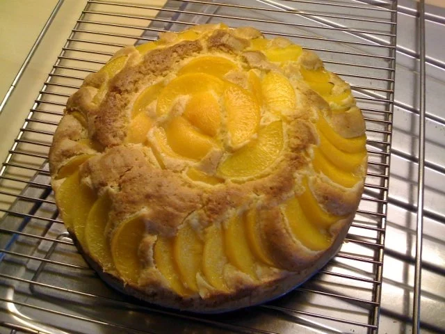 Rezept: Leo´s Frau Pfirsichkuchen Bild Nr. 5 Leo´s Frau Pfirsichkuchen - Rezept - Bild Nr. 5