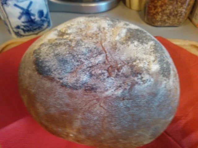 Molenbrood hell (Muehlenbrot) - Rezept