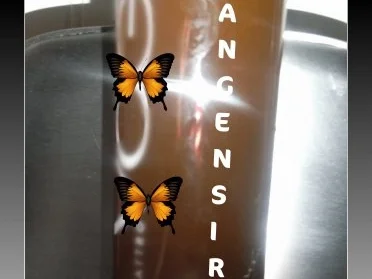 Rezept: BiNe` S ORANGENSIRUP BiNe` S ORANGENSIRUP - Rezept