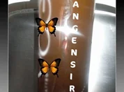 BiNe` S ORANGENSIRUP - Rezept