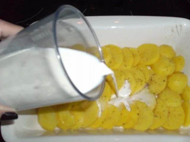 Kartoffel-Lachs-Gratin - Rezept - Bild Nr. 5