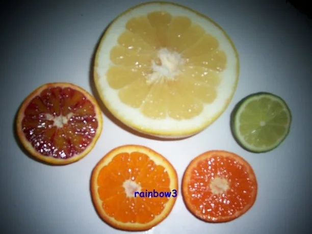 Einmachen: Zitrus-Gelee - Rezept - Bild Nr. 2