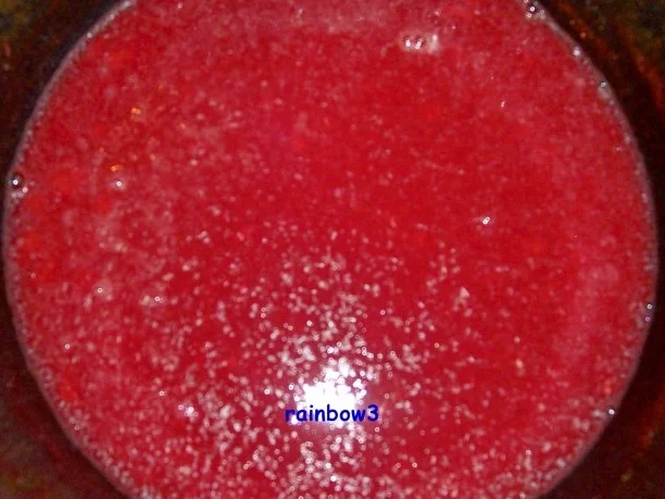 Einmachen: Blutorangen-Gelee mit Ingwer - Rezept - Bild Nr. 2